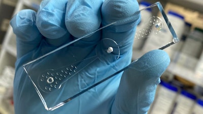 A 'worm-on-a-chip' device tracks nematodes' movements toward odor molecules produced by lung cancer cells.