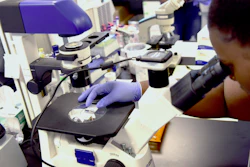 Nayla Fair, an intern at The Hampton University Cancer Research Center, examines cancer cells through a microscope on Wednesday, June 12, 2019. Cancer death rates have steadily declined among Black people but remain higher than in other racial and ethnic groups, according to a U.S. government study released Thursday, May 19, 2022.