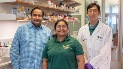 From left: Dr. Sriram Muthukumar, co-founder of EnLiSense LLC; Dr. Shalini Prasad, head of bioengineering and the Cecil H. and Ida Green Professor in Systems Biology Science; and bioengineering research scientist Dr. Kai-Chun Lin are part of the team working on the sweat sensor.