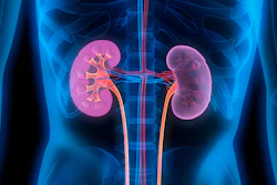 The company will focus on developing a broad suite of novel kidney care products and solutions.