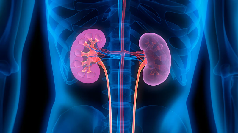 SoniVie Gets FDA OK for Renal Artery Denervation Study | Medical Design ...