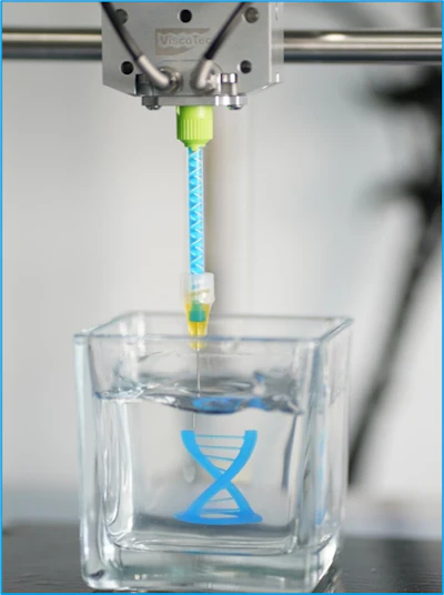 Figure 2: DNA structure made of silicone – manufactured as a 3D printed component in hydrogel