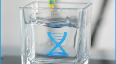 A DNA structure made of silicone manufactured as a 3D-printed component in hydrogel.