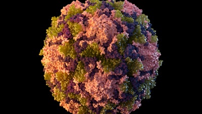 This 2014 illustration made available by the U.S. Centers for Disease Control and Prevention depicts a polio virus particle. On Thursday, July 21, 2022, New York health officials reported a polio case, the first in the U.S. in nearly a decade.