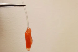 This model heart ventricle, made with real living heart cells, beats strongly enough to pump fluid inside a tube. It can be used to study heart disease and test out potential therapies, without the need for invasive surgery.