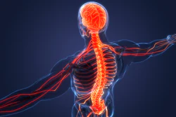 LimiFlex received the CE Mark in 2009 and has been implanted in more than 2,000 European patients.