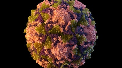 This 2014 illustration made available by the U.S. Centers for Disease Control and Prevention depicts a polio virus particle. On Thursday, July 21, 2022, New York health officials reported a polio case, the first in the U.S. in nearly a decade.