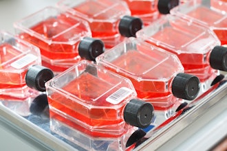 Plasma can transform the surface properties of plastic to achieve aims that normally would not be feasible.