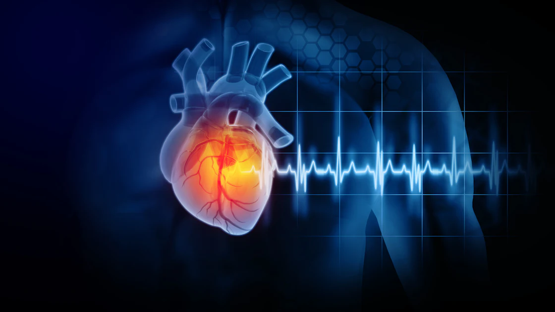 BIOTRONIK Receives FDA Approval for Next-Generation of Pacemakers ...