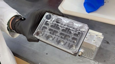 Low Res Lattice In Hand