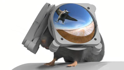 Low Res Imrsiv Render Select
