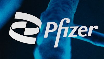 Ap24211761851981