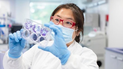 Dr Juri Na, Senior Research Fellow at the University of Plymouth, studying brain tumor cells.