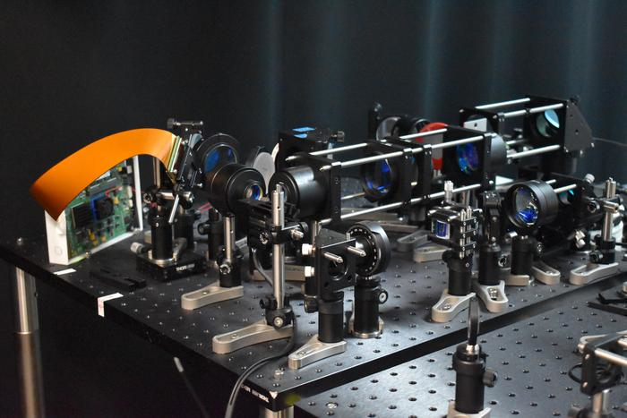 The experimental setup shows the optical components, including the DMD and beam scanners, for the two-photon microscope with the adaptive line-excitation scheme.