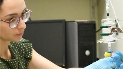 Paula Nieto Morales, a doctoral student at Florida State University College of Medicine, works in the lab of biomedical sciences professor Dr. José Pinto.