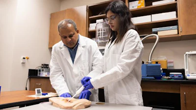 Kausik Mukhopadhyay, assistant professor of materials science and engineering at UCF, and Pritha Sarkar, a graduate student in the material science department at UCF, test their spongelike hemostatic bandage known as “SilFoam” on a mannequin. The sponge-like foam quickly acts to stop hemorrhaging.
