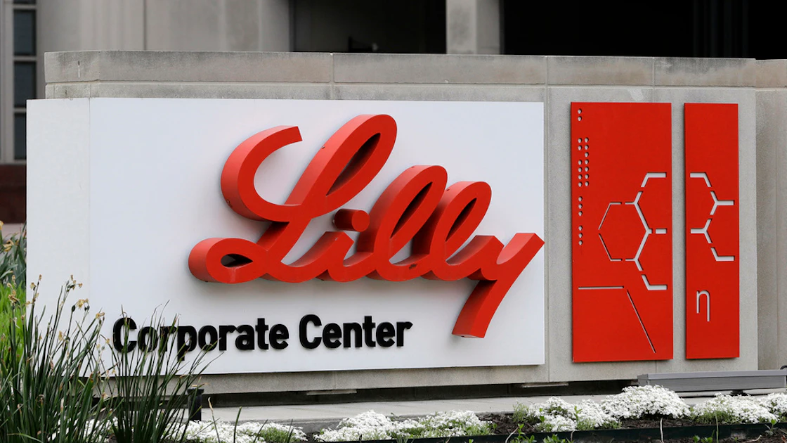 FDA Says Knockoff Versions of Lilly Obesity Drug Must Come Off the ...