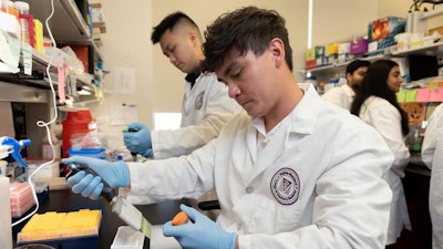 Noah Oakland is exploring new treatments to manage lupus in the lab of Xin Luo, a professor of Biomedical Sciences and Pathobiology of the Virginia-Maryland College of Veterinary Medicine. A student of the Virginia Tech Carilion School of Medicine and the Virginia Tech Translational Biology, Medicine, and Health graduate program, Oakland received support through a highly competitive National Institutes of Health Ruth L. Kirschstein National Research Service Award F30 award.