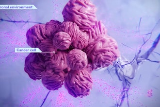 Screenshot 2025 05 15 At 9 30 12 Am