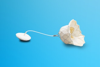 Sh Tendyne Banner 1440x450