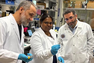 NYU Abu Dhabi research team.