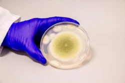 Low Res Gao Lab Fungal Ri P Ps 12