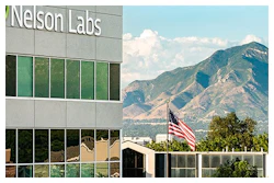 Our Company Header 955x324px