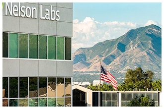 Our Company Header 955x324px