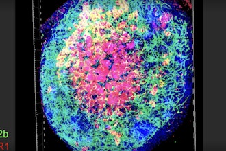 Screenshot 2025 06 26 At 8 00 53 Am