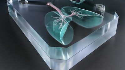 Low Res Lung Chips