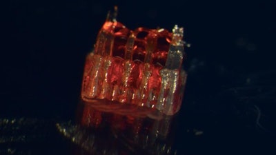 New research combines 3D printing, stem cell biology, and lab-grown tissues for possible treatments of spinal cord injuries.