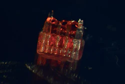 New research combines 3D printing, stem cell biology, and lab-grown tissues for possible treatments of spinal cord injuries.