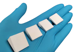 Imgi 3 Cotton Palm Sizes