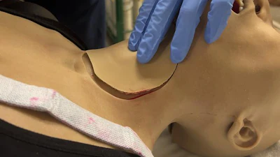 Low Res 3 D Tissue 900x600