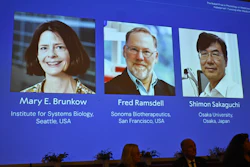 A screen showing the photos of Mary E Brunkow, Fred Ramsdell and Shimon Sakaguchi who were awarded the Nobel Prize in Medicine or Physiology, at the Nobel Assembly of the Karolinska Institutet, in Stockholm, Sweden, Monday, Oct. 6, 2025.