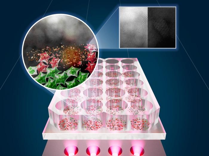 The researchers&rsquo; custom near-infrared LED heating system activates SnOx nanoflakes that heat and neutralize cancer cells (green: live cells; red: cells killed by photothermal therapy).