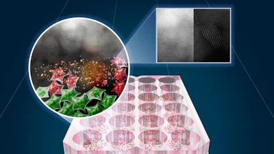 The researchers’ custom near-infrared LED heating system activates SnOx nanoflakes that heat and neutralize cancer cells (green: live cells; red: cells killed by photothermal therapy).