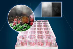 The researchers’ custom near-infrared LED heating system activates SnOx nanoflakes that heat and neutralize cancer cells (green: live cells; red: cells killed by photothermal therapy).