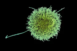 “Natural killer” cancer cell destroyer.