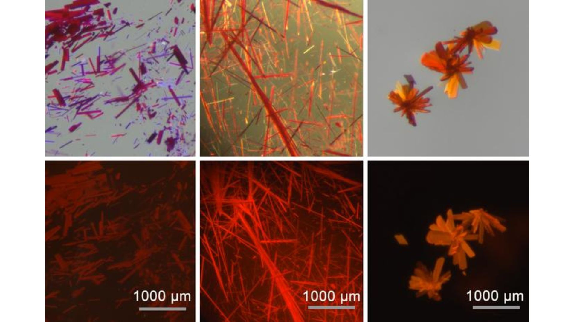 MIT chemists have created a fluorescent, boron-containing molecule that is stable when exposed to air and can emit light in the red and near-infrared range. The dye can be made into crystals (shown in these images), films, or powders. The images at top were taken in ambient light and the images at bottom in UV light.
