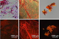 MIT chemists have created a fluorescent, boron-containing molecule that is stable when exposed to air and can emit light in the red and near-infrared range. The dye can be made into crystals (shown in these images), films, or powders. The images at top were taken in ambient light and the images at bottom in UV light.