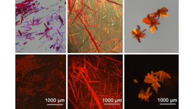 MIT chemists have created a fluorescent, boron-containing molecule that is stable when exposed to air and can emit light in the red and near-infrared range. The dye can be made into crystals (shown in these images), films, or powders. The images at top were taken in ambient light and the images at bottom in UV light.