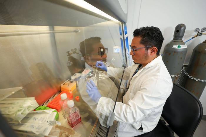 Fabian R. Villagomez, Ph.D., a postdoctoral researcher in the Department of Biological Sciences at The University of Texas at El Paso, is studying high-grade serous carcinoma, an aggressive form of ovarian cancer. His work has helped identify a new target, Claudin-4, that may make the cancer cells more vulnerable to treatment.