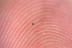 Low Res Ridges