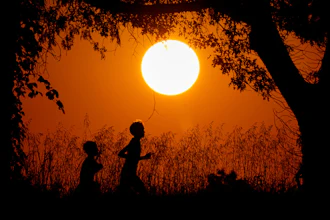 Silhouettes of two children standing near trees at sunset with bright orange sky