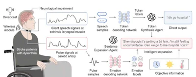Low Res Figure 1