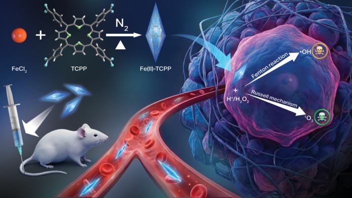 Scientists at Oregon State University have developed a new nanomaterial that triggers a pair of chemical reactions inside cancer cells, killing the cells via oxidative stress while leaving healthy tissues alone. It's an iron-based metal-organic framework that in cancer cells catalyzes the production of radical hydroxyls and singlet oxygen.