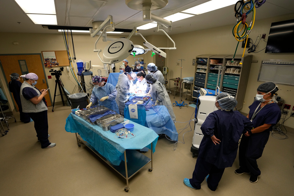 An organ recovery team works to remove the liver and kidneys from a donor June 15, 2023, in Jackson, Tenn.