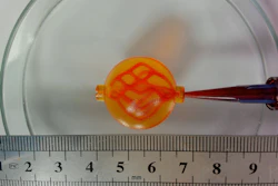 3D bioprinted perfusable vascular channels using BioFlex Bioink.