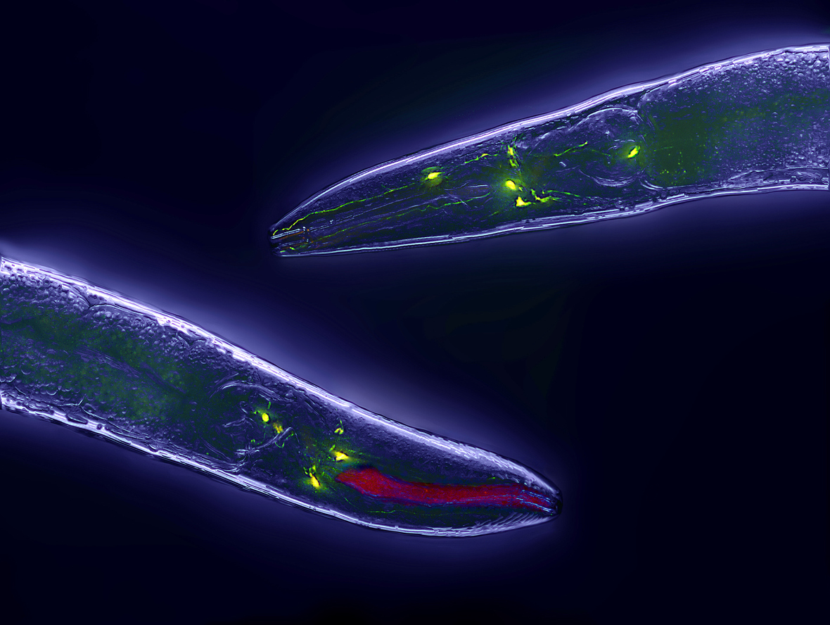 I Stock 506877610